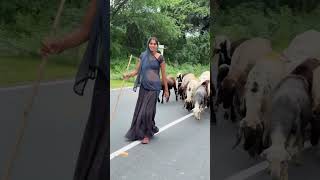 Download lagu Banjara chhoro rajsthani#dance#marwadisong#rajasthani#youtubeshorts #instagram Reel#bannibannag mp3