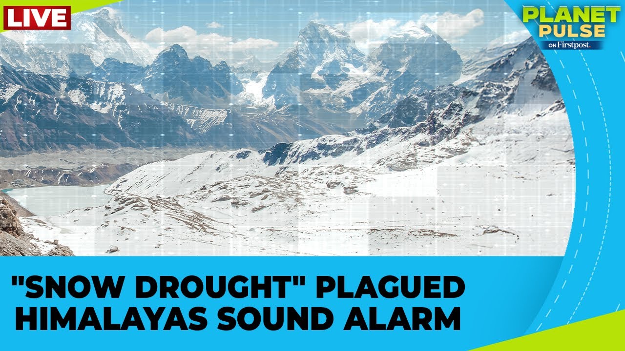 LIVE: Studies Warn of "Snow Drought" Across Parts of the Himalayan Region | Planet Pulse | N18G