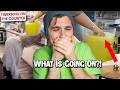 TikTok S 1600 Coffee Shop That Made Me Disassociate