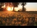 Chillstep Dawn Vol. 1 