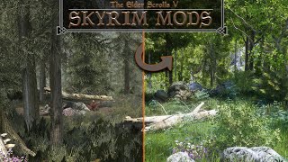 This One Mod Will Completely Transform The Way Your Skyrim Looks