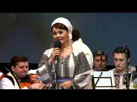 Niculina Stoican si Lautarii - Verde i frunza la Salcuta