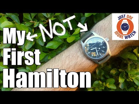 My First Hammy Was A Disaster. How Is My Second?