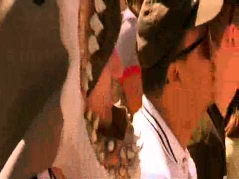 ogni maledetta domenica- inizio