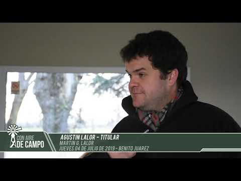 Agustín Lalor - Martín G. Lalor - Jueves 04 de julio de 2019 - B. Juárez