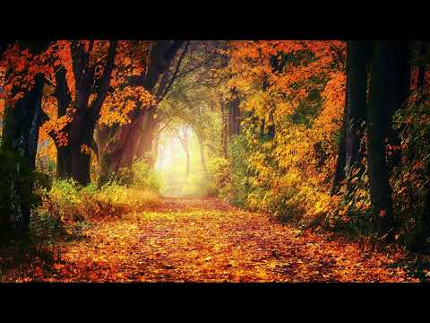 New Wine / La Venida Del Rey / Pista y Letra