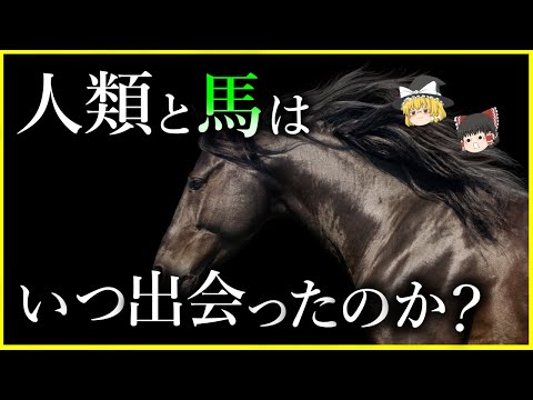 馬の起源と進化