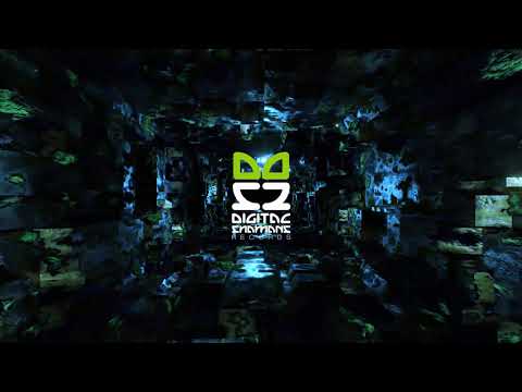 Digital Shamans Records / Roster