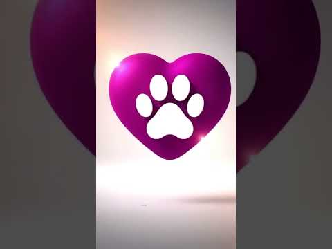 Vídeo de Feijão