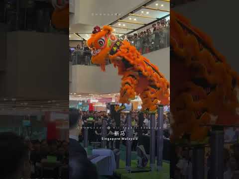 2025 Seletar Mall SG MSIA 1st Acrobatic Southern Lion Dance Championship | 利达广场 首屆 新马 南狮 高桩 錦標賽