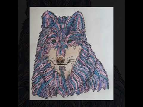 ANTI-STRESS Livre de Coloriage pour Adultes: D’Incroyables Animaux pour la Relaxation & Méditation