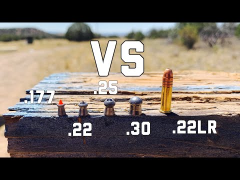 22LR VS .177, .22, .25, and .30 CAL AIRGUNS | 22LR Vs Air Rifle POWER TEST