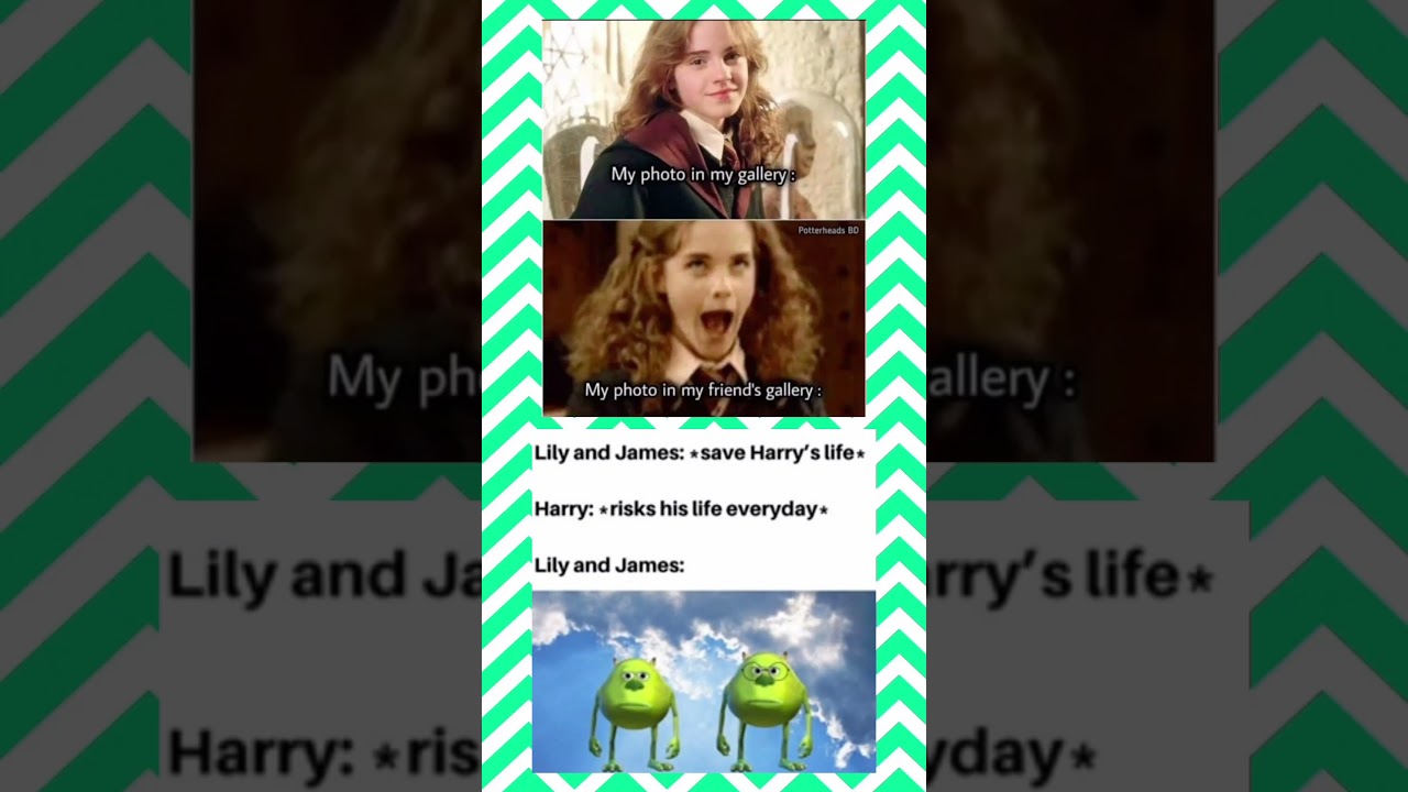 Hermione vs Friends’ Gallery & Harry’s Parents Reaction 😂 |#shorts #meme #harrypotter #ytshorts