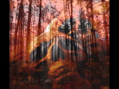 Polykaos- Full Tilt.wmv