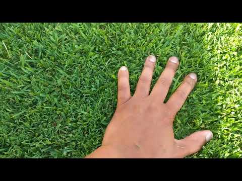 Fiskars Reel Mower Update