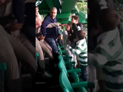 Os confrontos entre adeptos do Sporting filmados dentro da própria bancada   Vídeos   Jornal Record