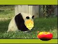 PBS PBS Kids WETA Continuities October 29 2002 2 3