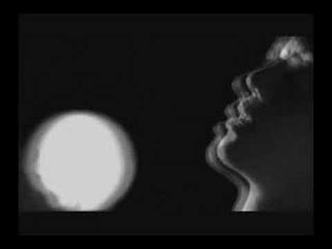 Chicosci - 7 Black Roses