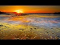 Steve Brian - Cacatua (Original Mix) [HD] 