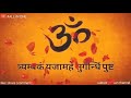 Aum Maha Mrityunjaya Mahadev Mantra WhatsApp Status Video Good Morning Video