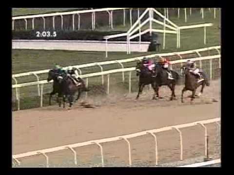 Premio UNIRE 2012 (LISTED RACE)