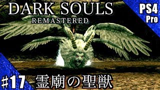 #17【PS4Pro】DARK SOULS REMASTERED 実況プレイ【霊廟の聖獣】