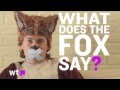 The Fox (What Does The Fox Say?) Silent Chorus ...