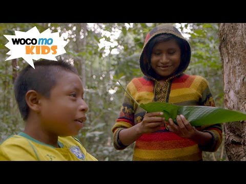 Die Spinnenjäger von Venezuela | GEOlino-Reportage - Folge 48/50