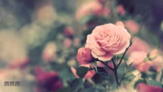 [ENG] K.Will, Junggigo, Jooyoung, Brothersu – Cook For Love (요리 좀 해요)