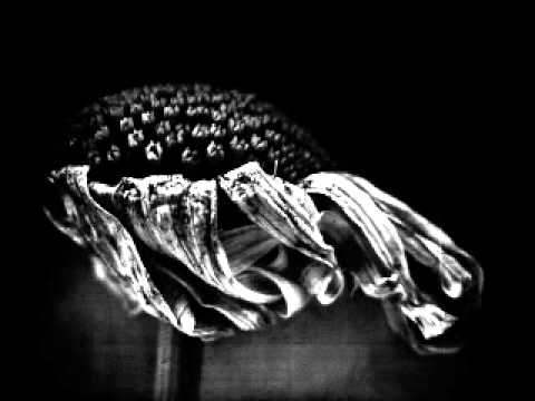 Isotop & Kaiza feat. Shots - Mesoterik