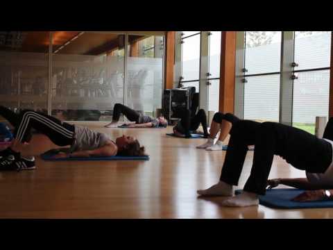 Bizkar osasuntsua (Landako II)