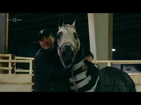 PRIDE OF POLAND 2020 - PERFINKA - 1 250 000 €