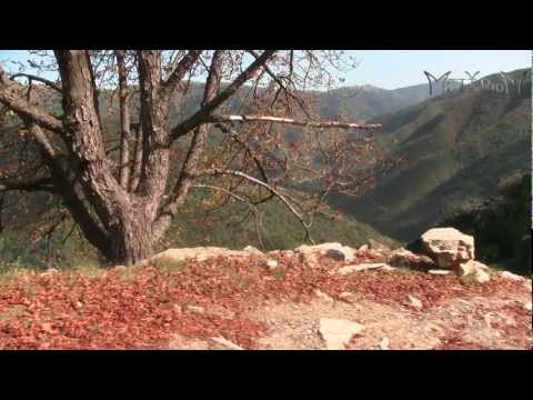 Puntata 10 - Triora, il paese delle streghe