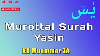 Download lagu Surah Yasin | Murottal Surah Yasin Muammar ZA mp3 Download lagu Surah Yasin | Murottal Surah Yasin Muammar ZA mp3