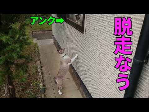 kuuga is escaping
