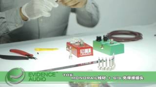 Video thumbnail for Evidence Audio The Monorail SIS  demo by Guitarcube by GuitarCubeChina
