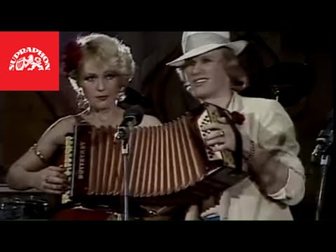 Helena Vondráčková & Jiří Korn - Já na bráchu blues (oficiální video)