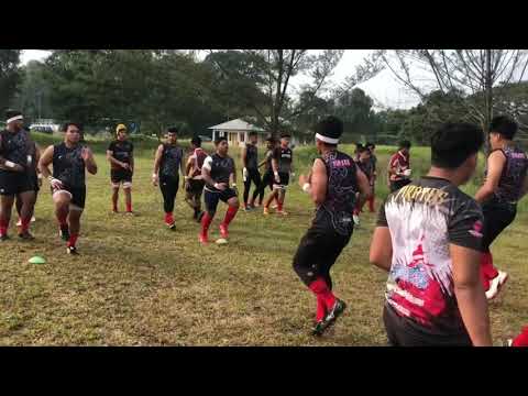 UTM pirates #MASUM2019