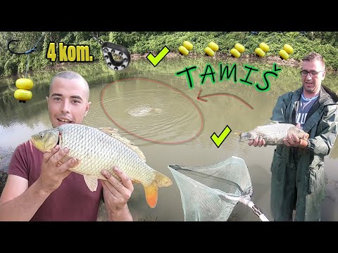 TAMIŠ PUN ŠARANA SAMO UDARAJU - NEVEROVATNO 4/5 za 30 min 😱😁🎣 (DULE MENADZER) *carp fishing*