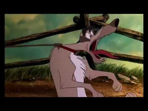 The Fox and the Hound- Chief Chases Tod "First Chase"