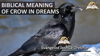 Biblical Meaning of CROW in Dreams - Dreams About Crows (Raven)