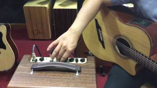 Test Ampli Guitar Acoustic