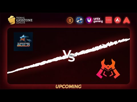 TNS vs MAD LADS GUILD - Day 2 / Game 2