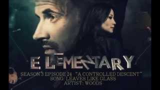 Elementary S03E24 - Leaves Like Glass by Woods