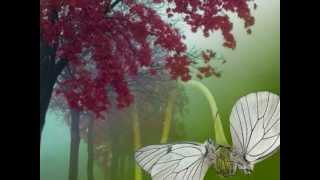 Roy Orbison-The Great Pretender