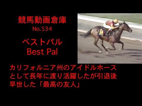 【競馬】ベストパル　Best Pal【No 534】