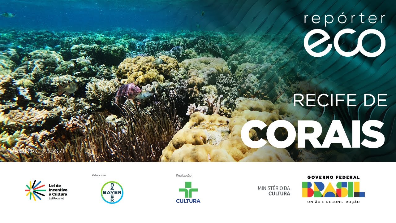 Repórter Eco | RADAR VERDE | 21/04/2024