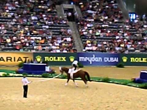 101008 WEG2010_techtest_eim