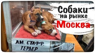 Ссылка