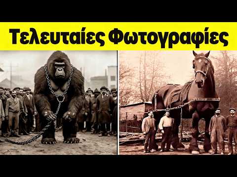 Οι Τελευταίες Απίστευτες Εικόνες Ζώων που Εξαφανίστηκαν